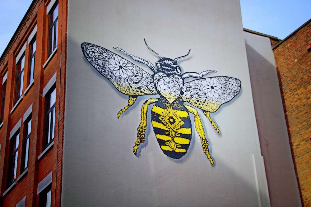 manchester luxury fireplaces and stoves