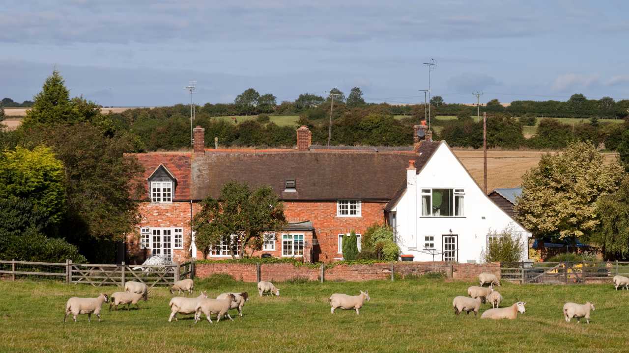 bedfordshire fireplaces and stoves